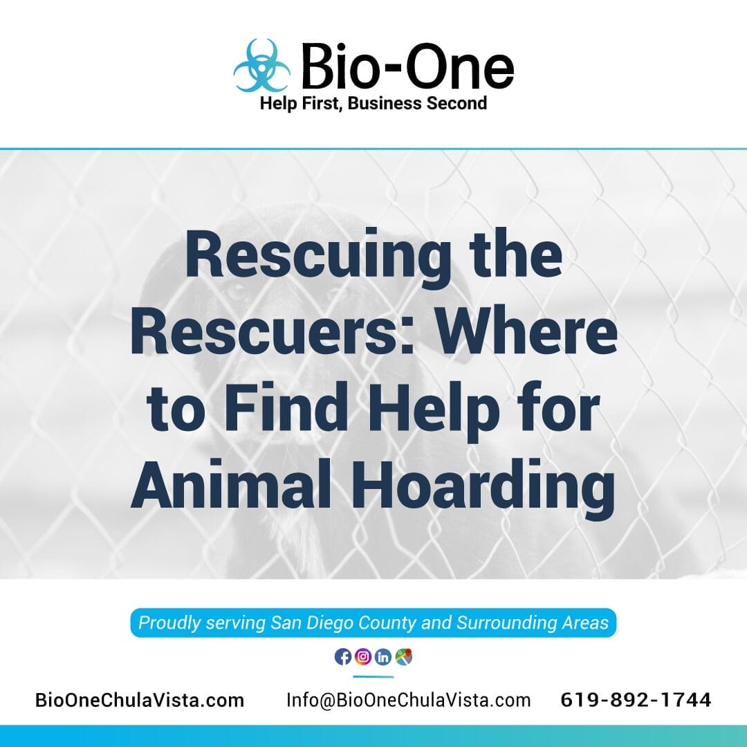 Rescuing the Rescuers Where to Find Help for Animal Hoarding
