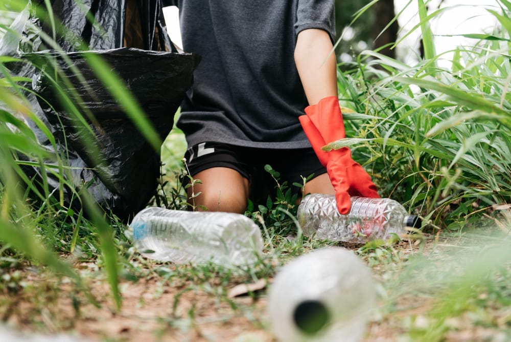 cleaning garden outdoors
